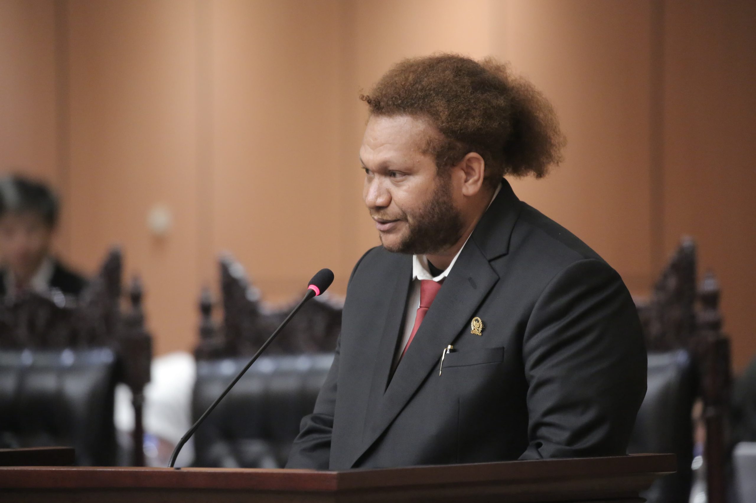 Senator PFM Dorong Pemekaran 4 Kabupaten Baru di Provinsi PBD